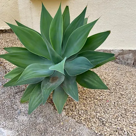 Casa Luis - - Spanien