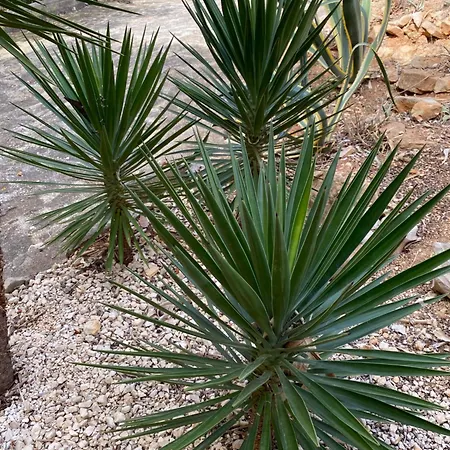 Casa Luis - - Spanien * Jávea